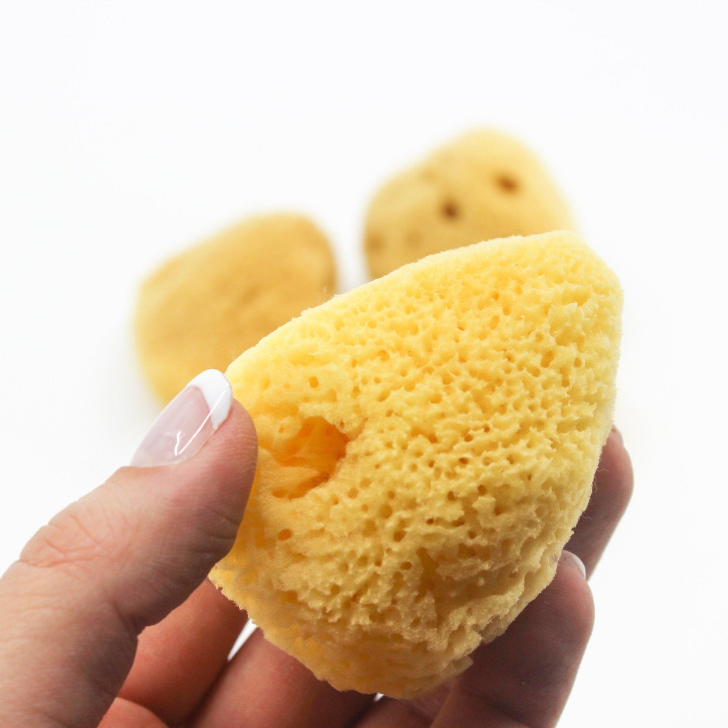 Cosmetic Sponge