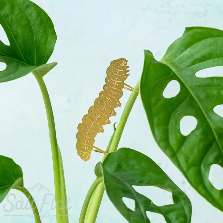 Plant Animals