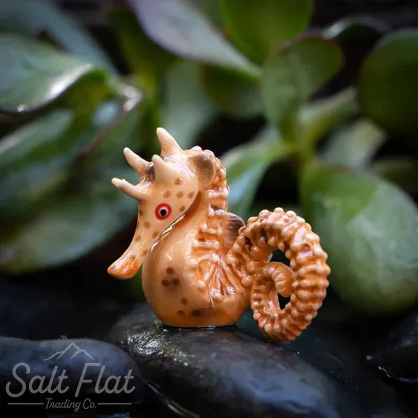 Little Critterz™ - Sealife