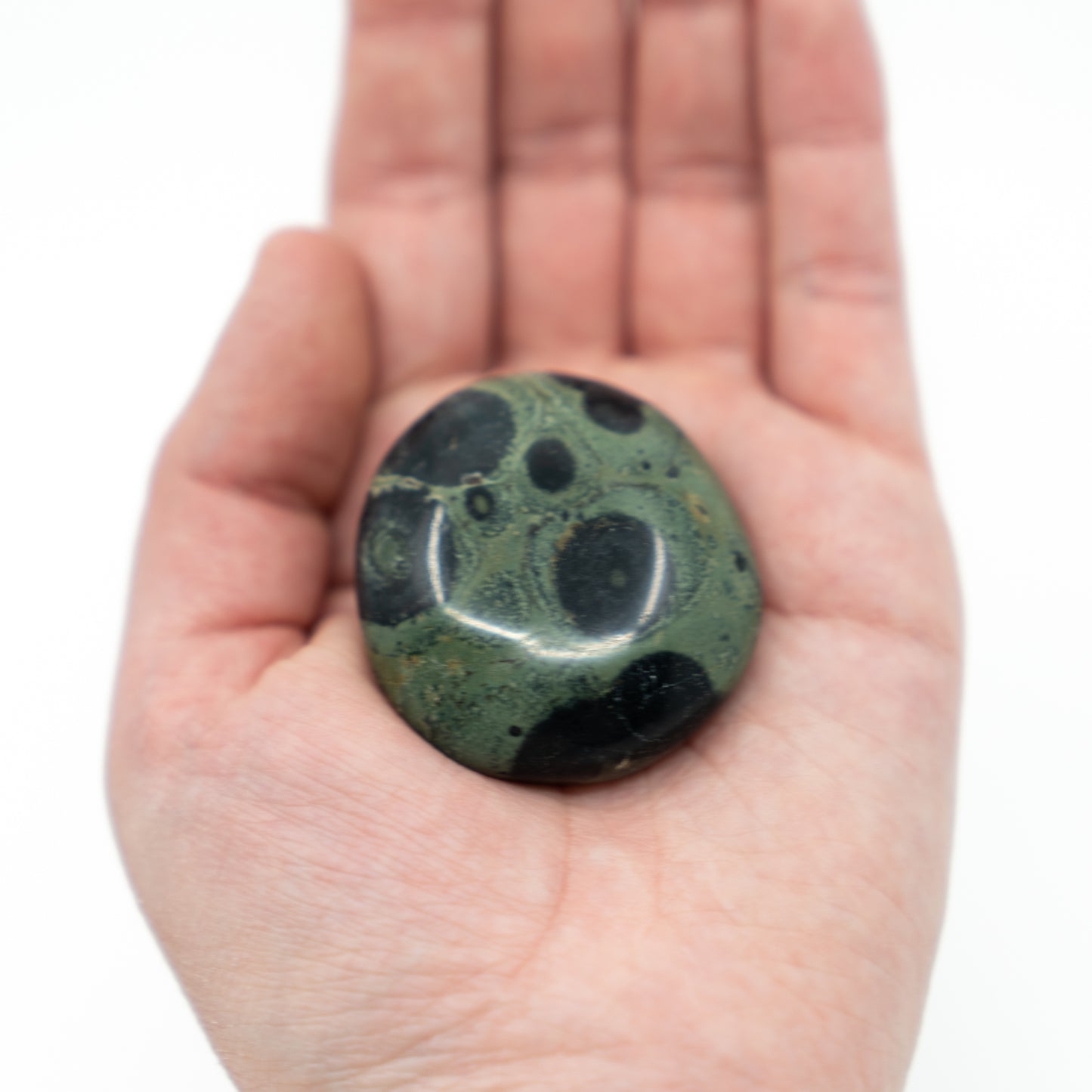 Kambaba Jasper Palm Stone