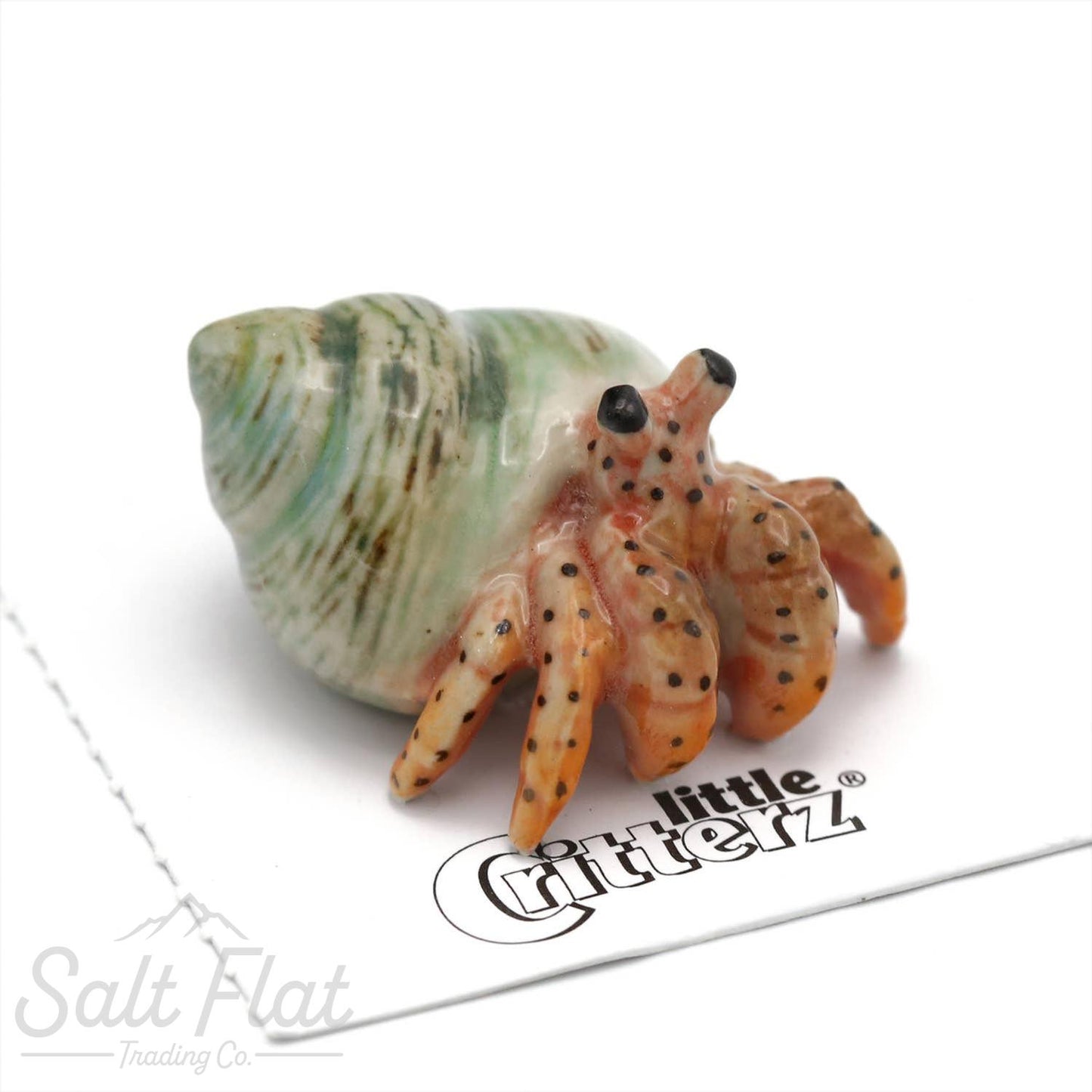 Little Critterz™ - Sealife
