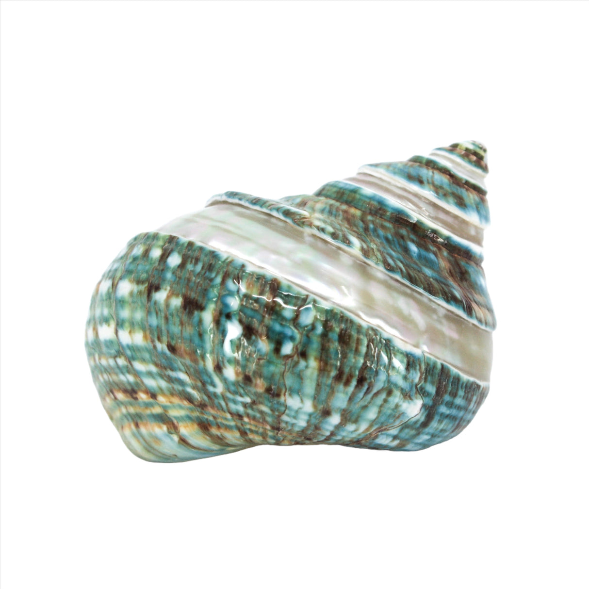 Jade Turbo Spiral 2-3"
