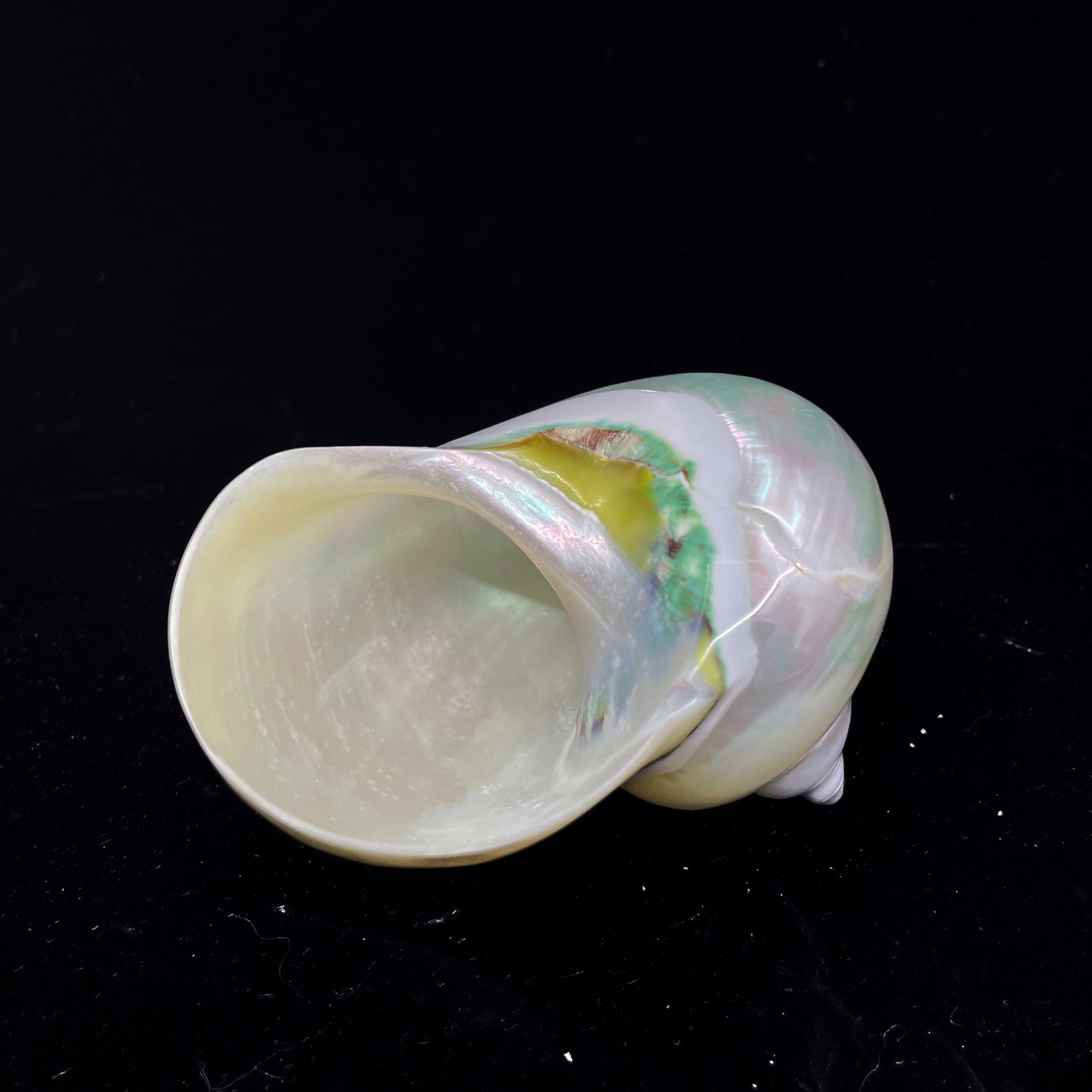 Polished Jade Turbo