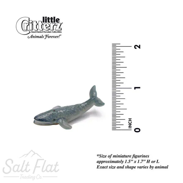 Little Critterz™ - Sealife