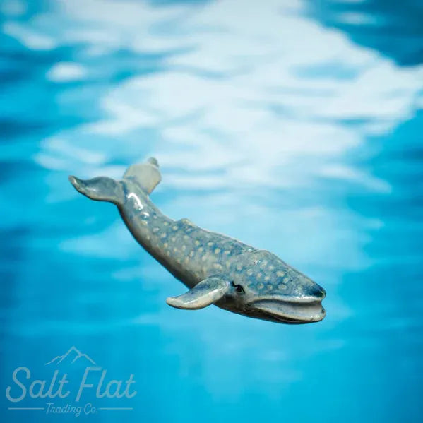 Little Critterz™ - Sealife
