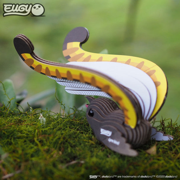 EUGY Sky