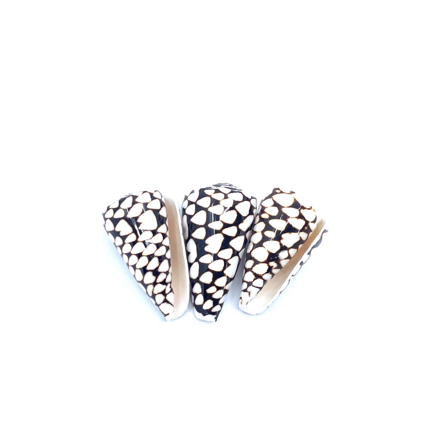 Marble Cone