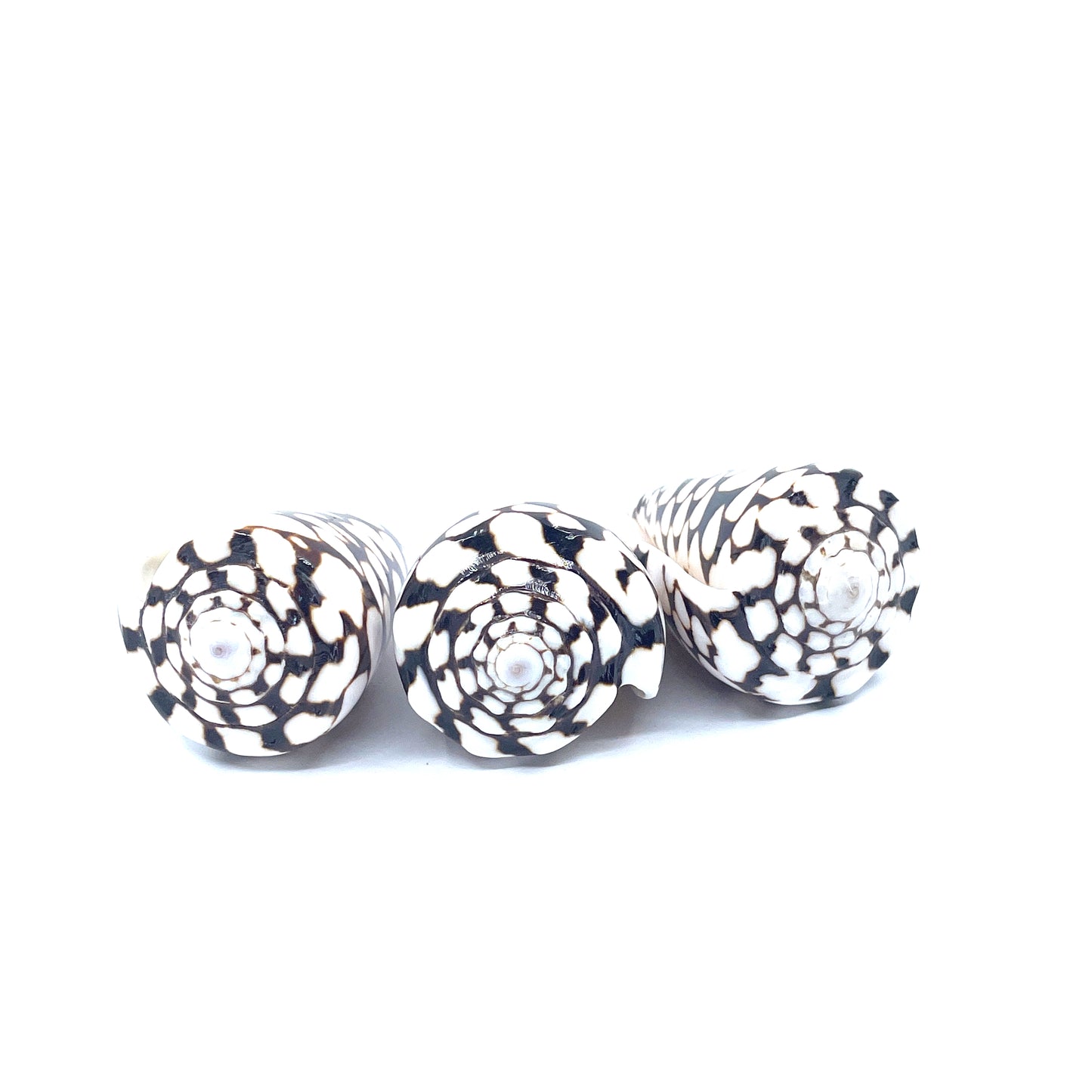 Marble Cone