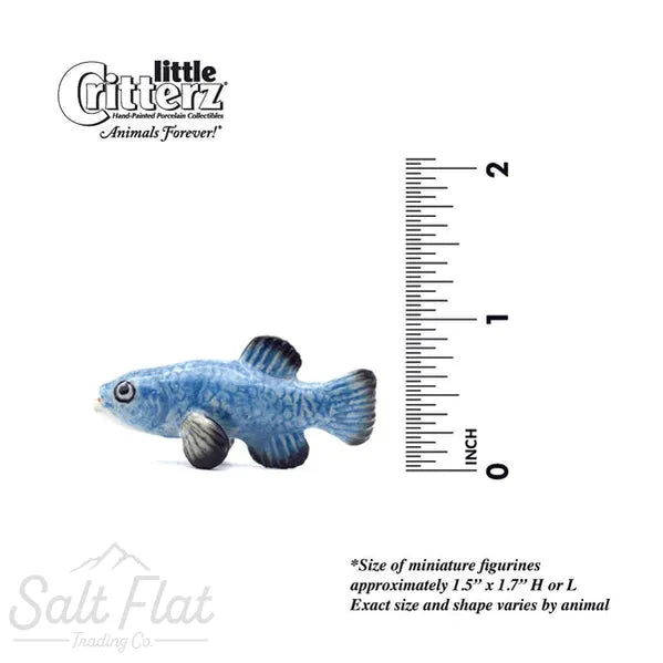 Little Critterz™ - Sealife