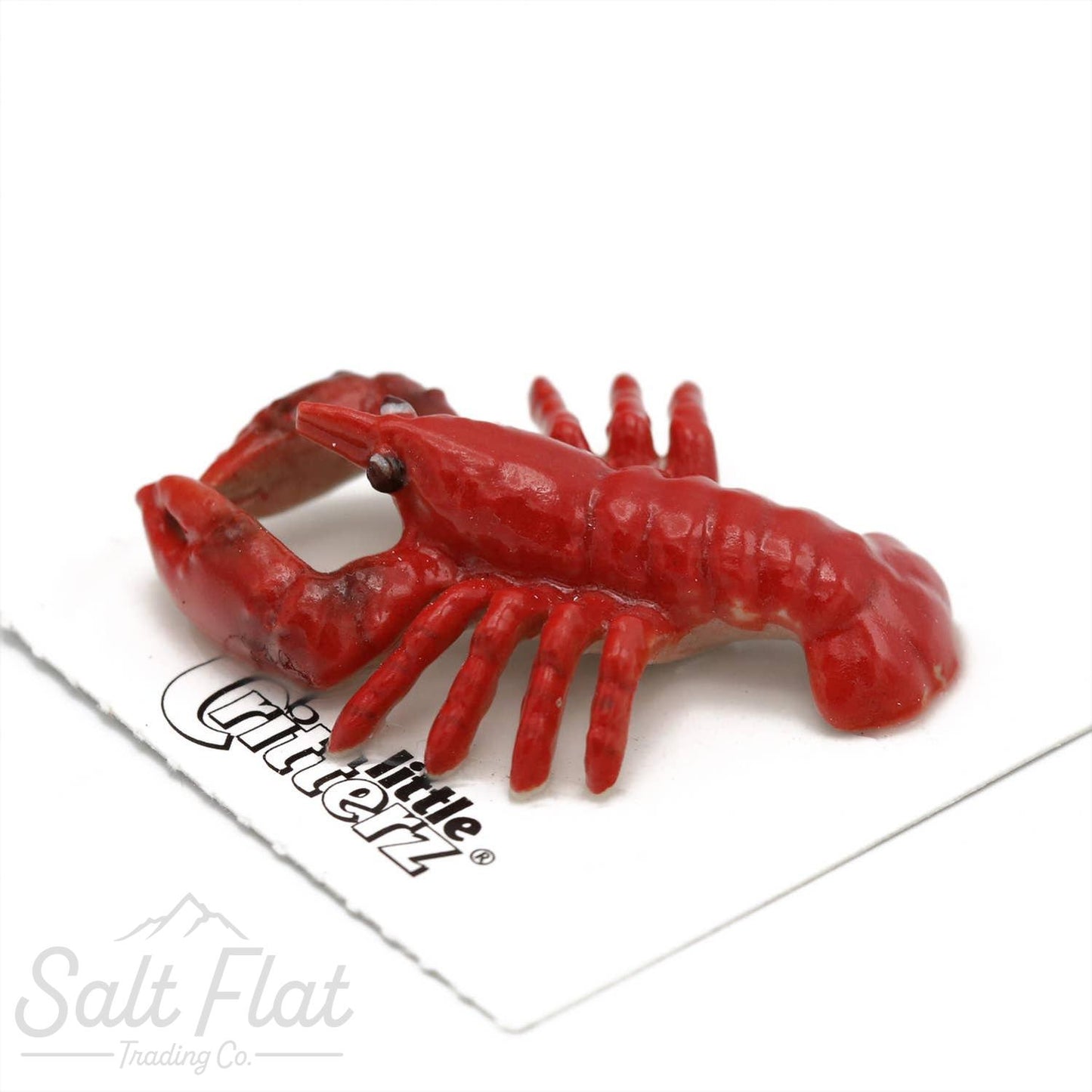 Little Critterz™ - Sealife