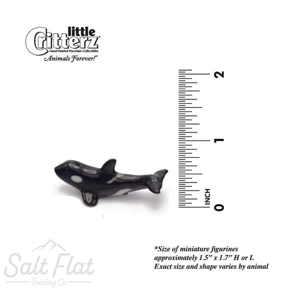 Little Critterz™ - Sealife