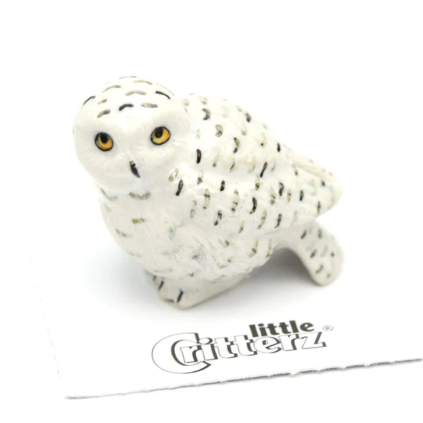 Little Critterz™ - Birds & Butterflies