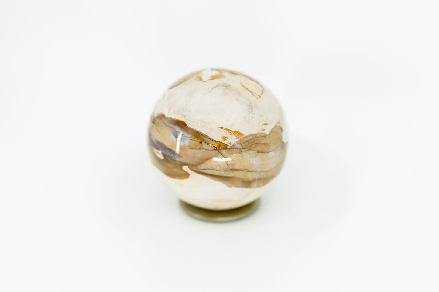 Petrified Wood Sphere