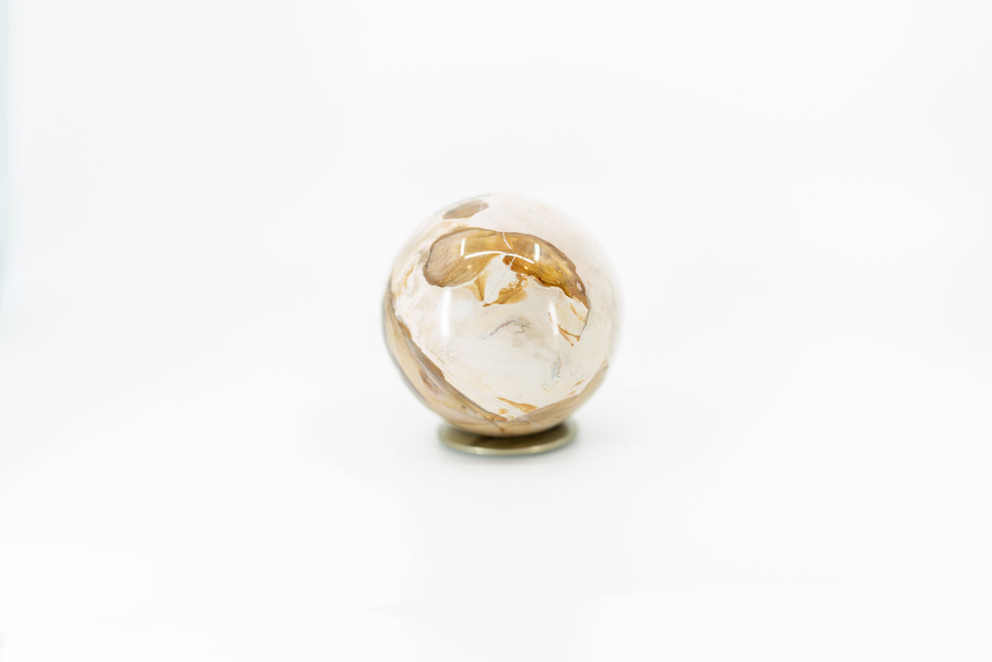 Petrified Wood Sphere