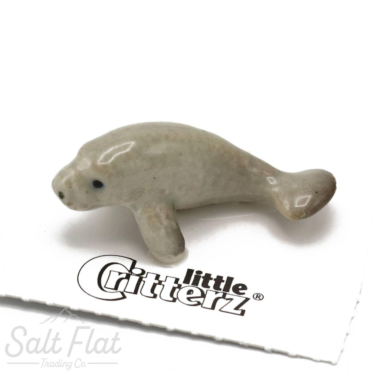 Little Critterz™ - Sealife