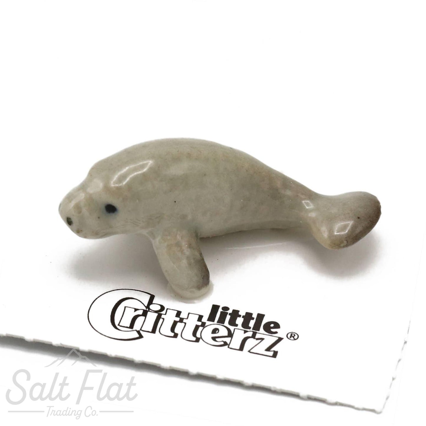 Little Critterz™ - Sealife
