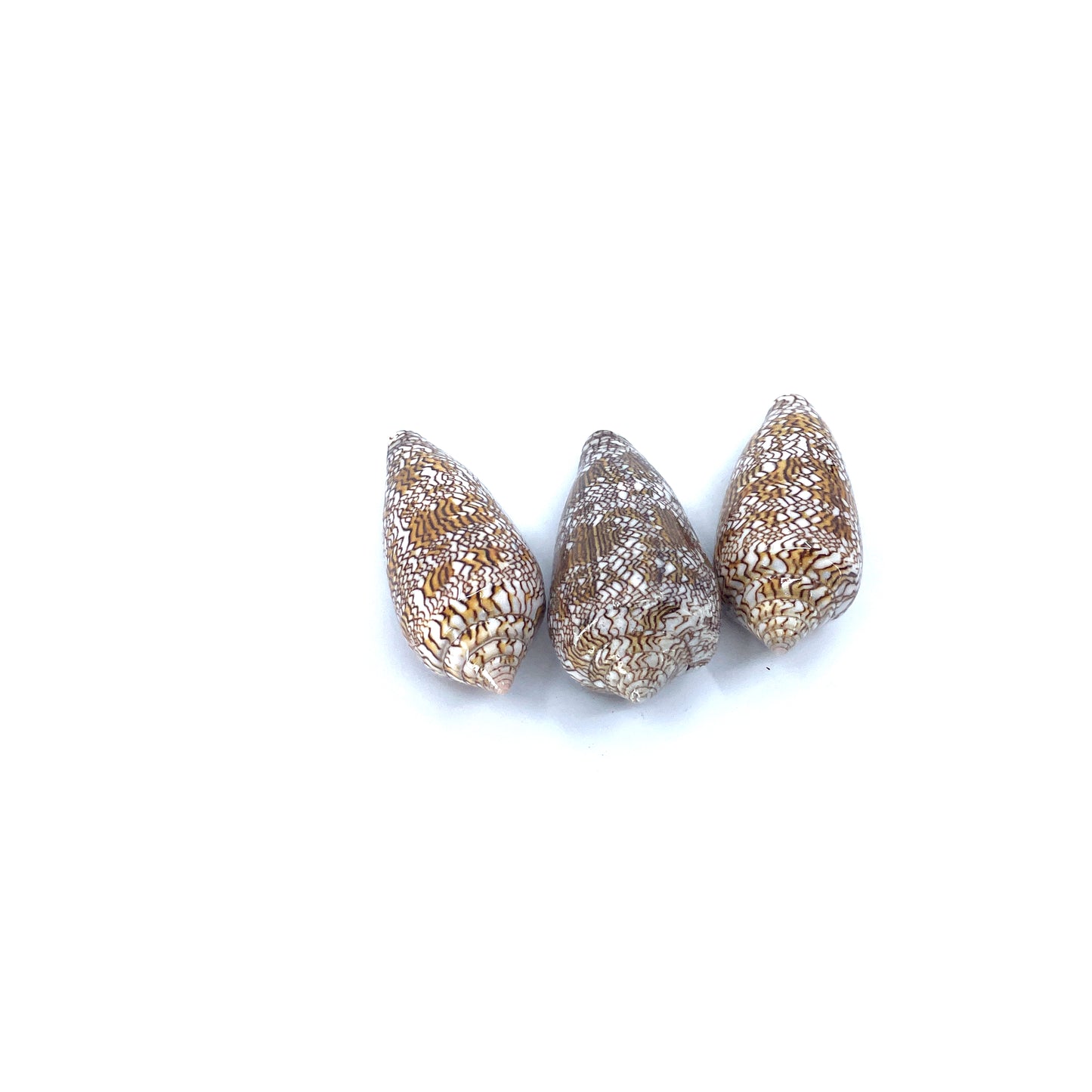 Textile Cone