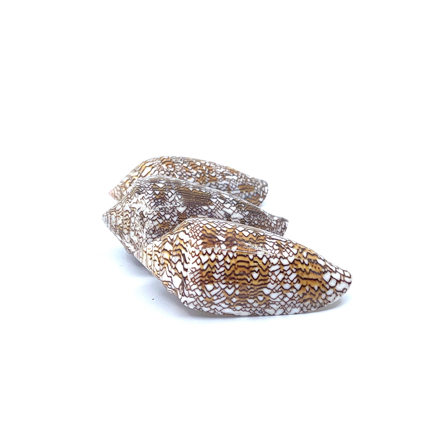 Textile Cone