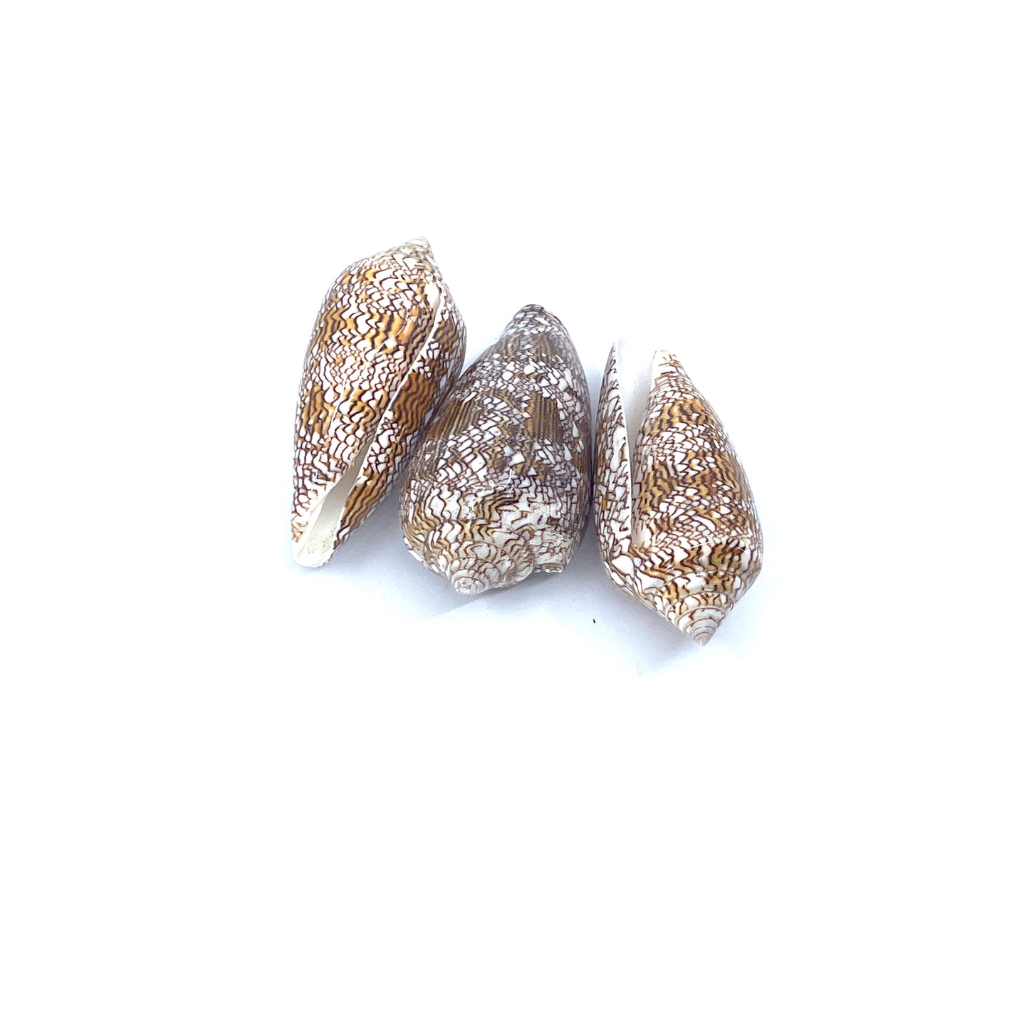 Textile Cone