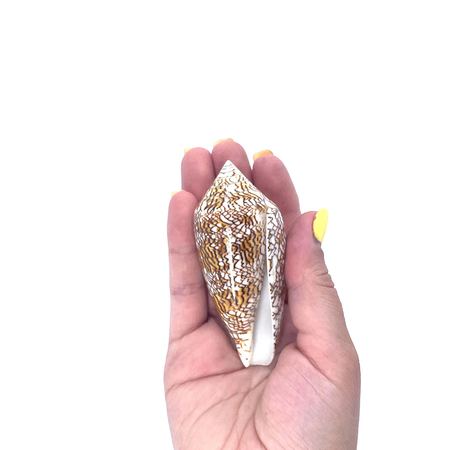 Textile Cone