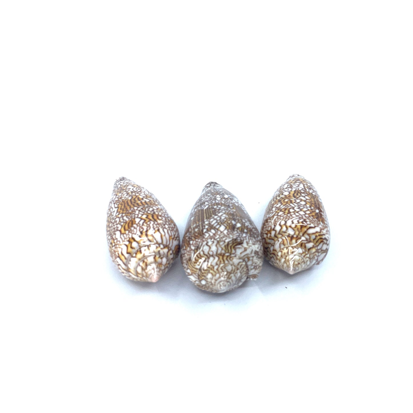 Textile Cone