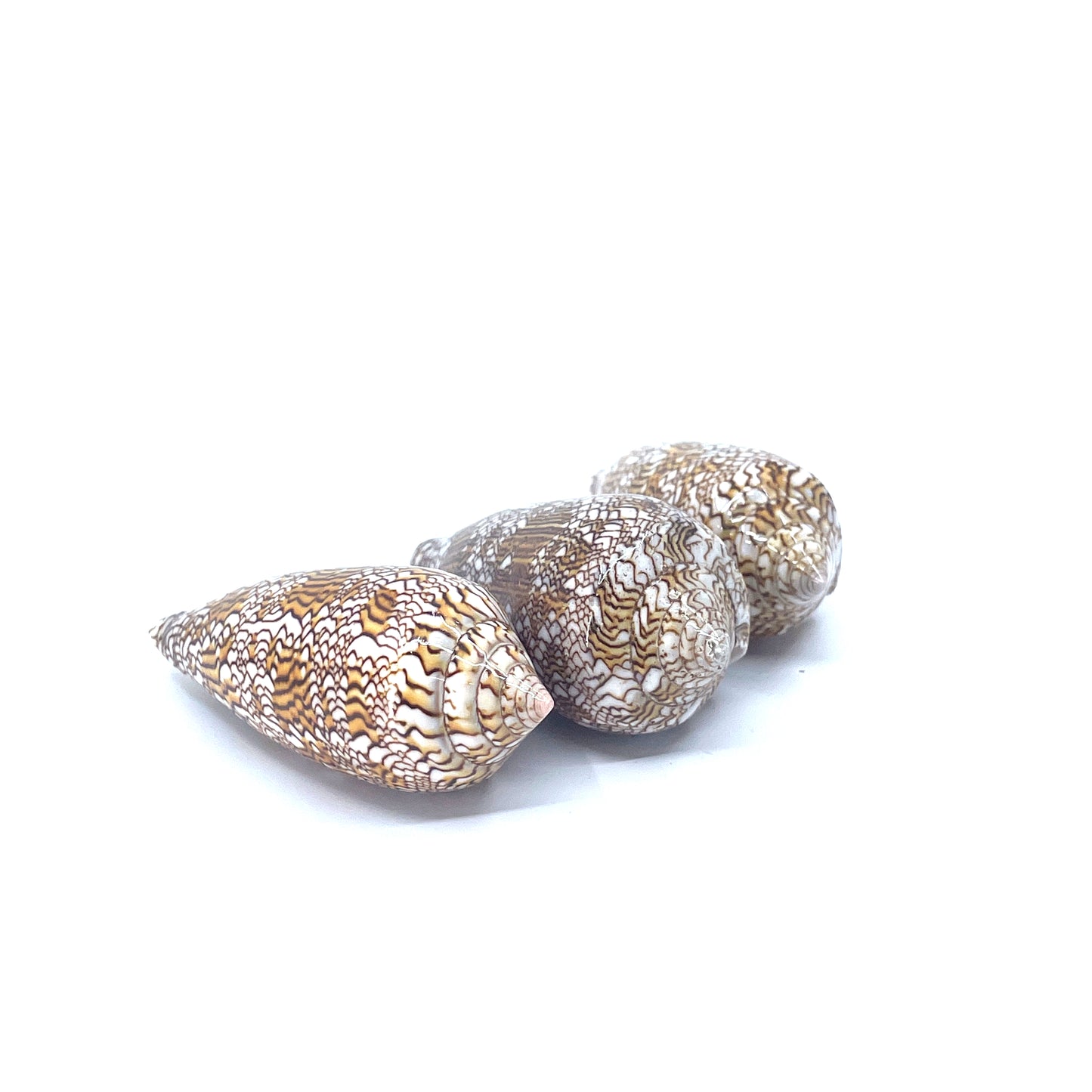Textile Cone