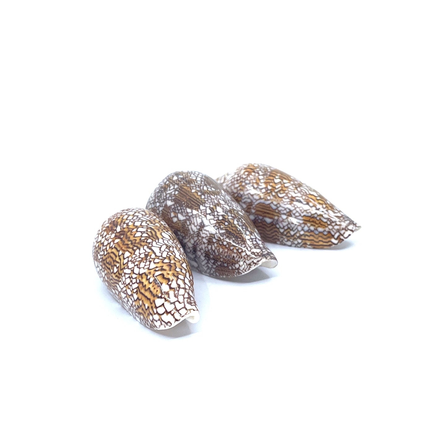 Textile Cone