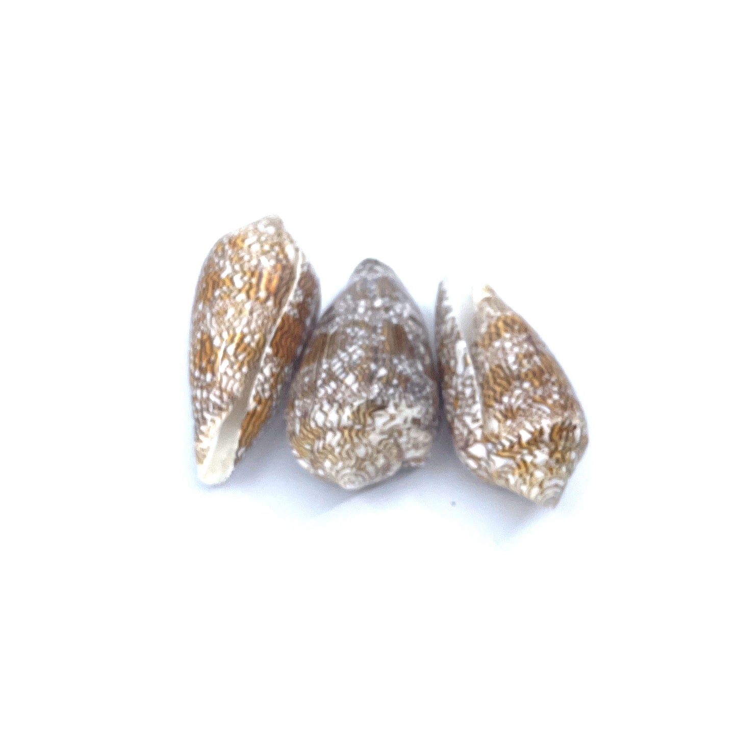 Textile Cone