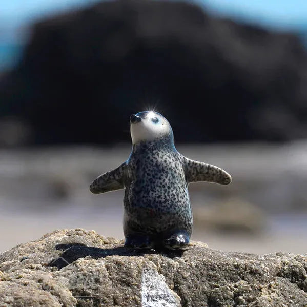 Little Critterz™ - Sealife