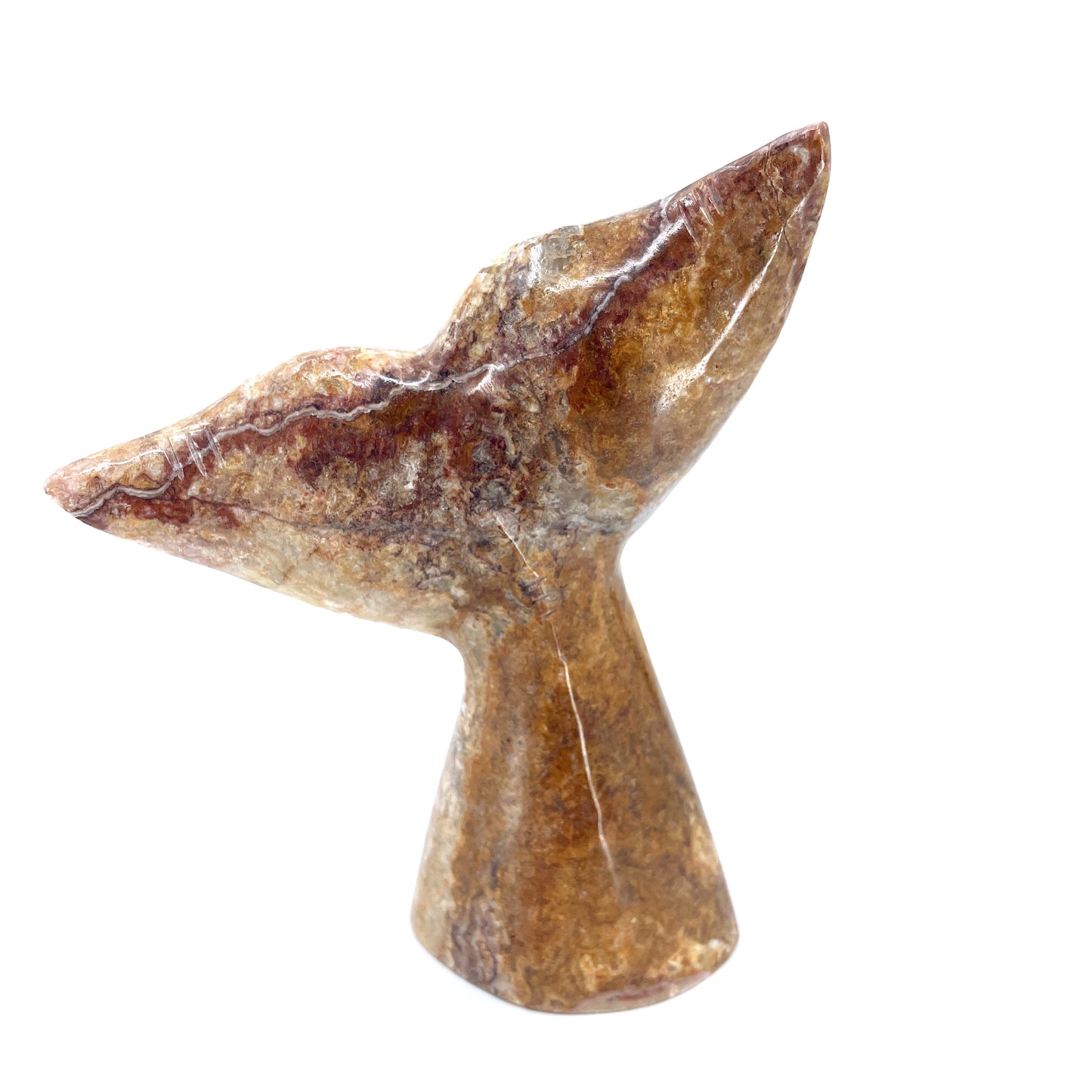 6'' Marble Whale Tail