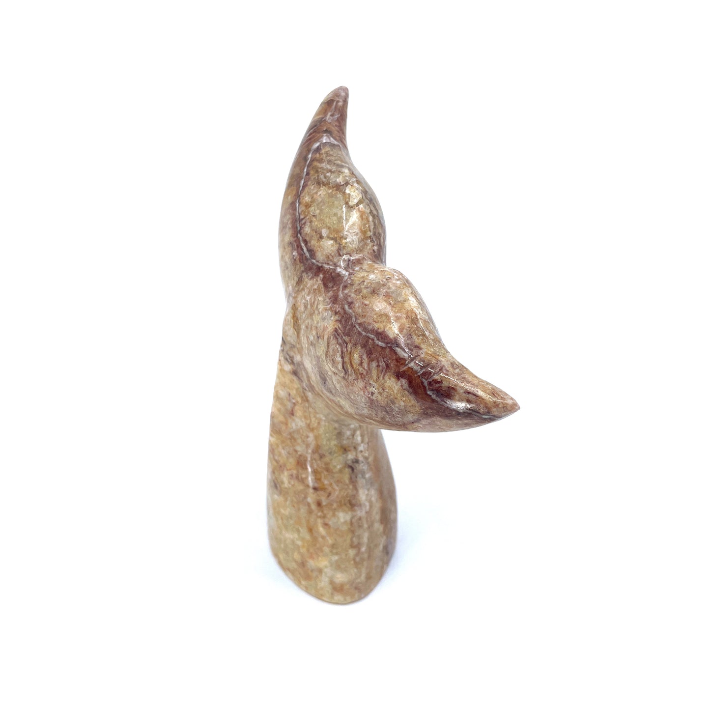 6'' Marble Whale Tail