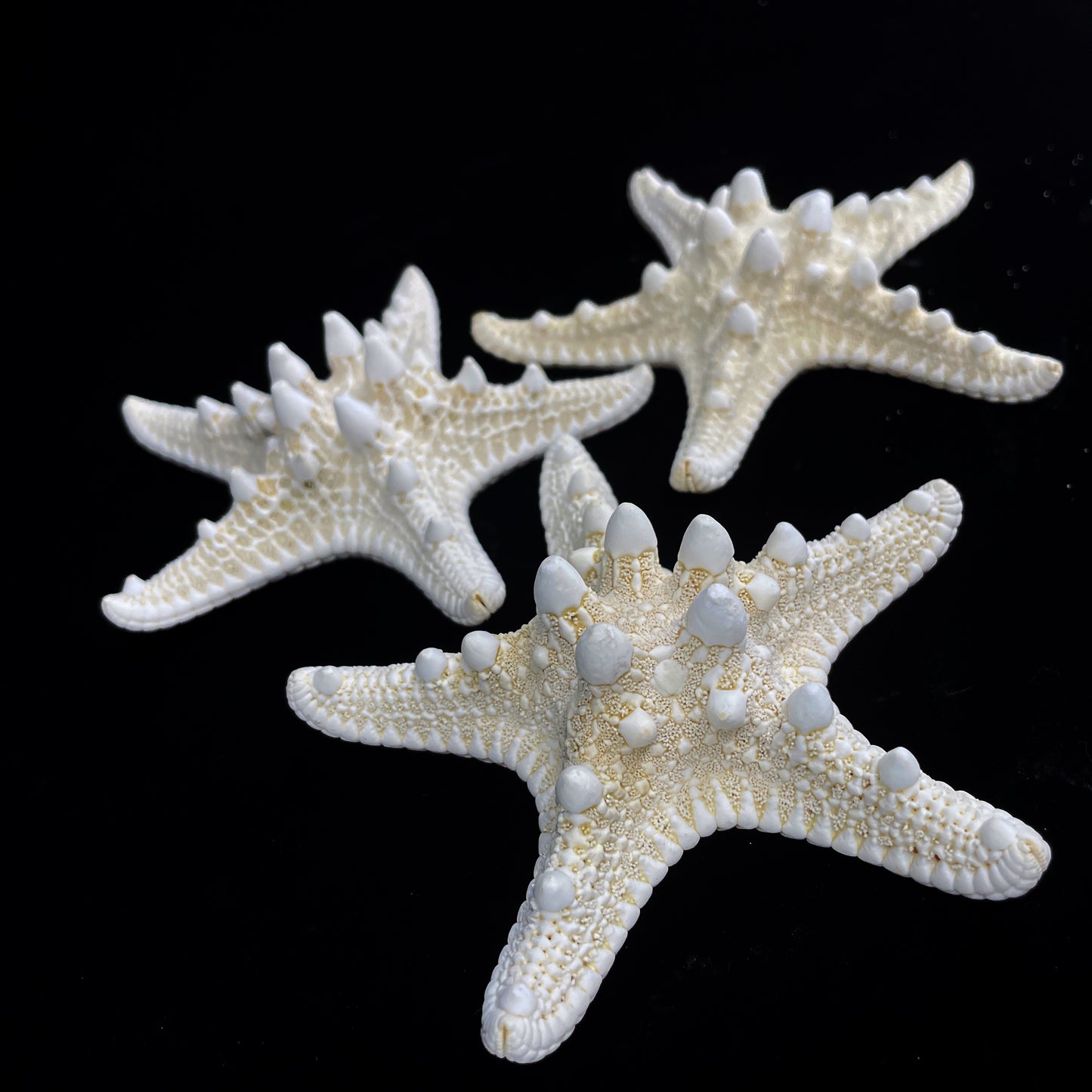 4-5" White Nobby Star