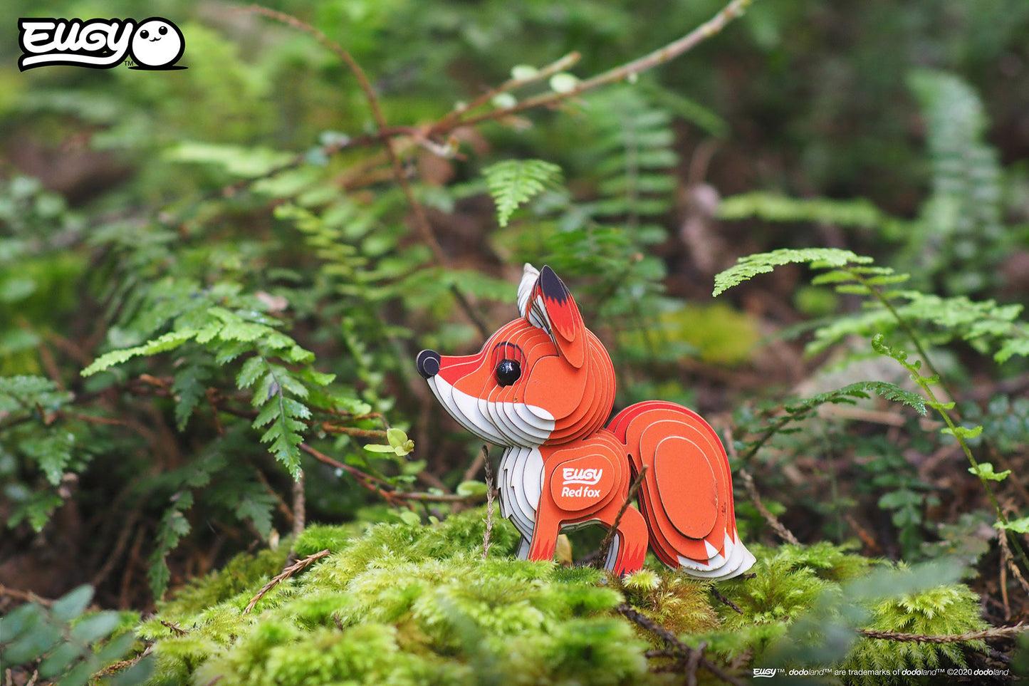 EUGY Forest