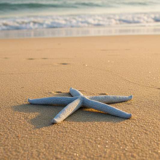 Discover the Wonders of the Sea with Salt Flat Trading's Shells & Sealife Collection