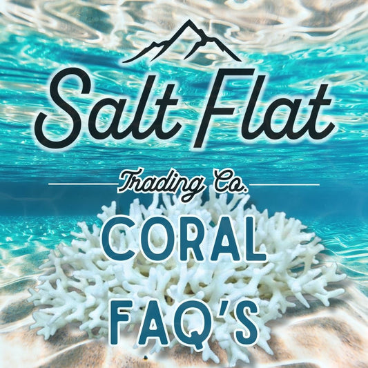 Coral FAQ's