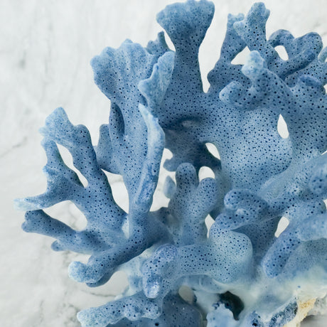 Coral