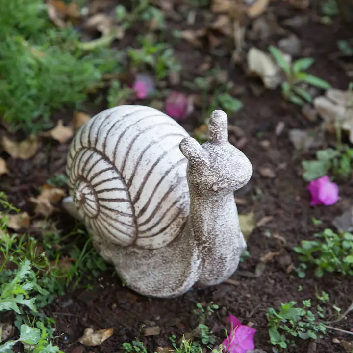 Garden Snails