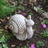 Garden Snails