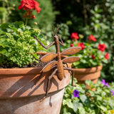 Rustic Metal Pot Climbers
