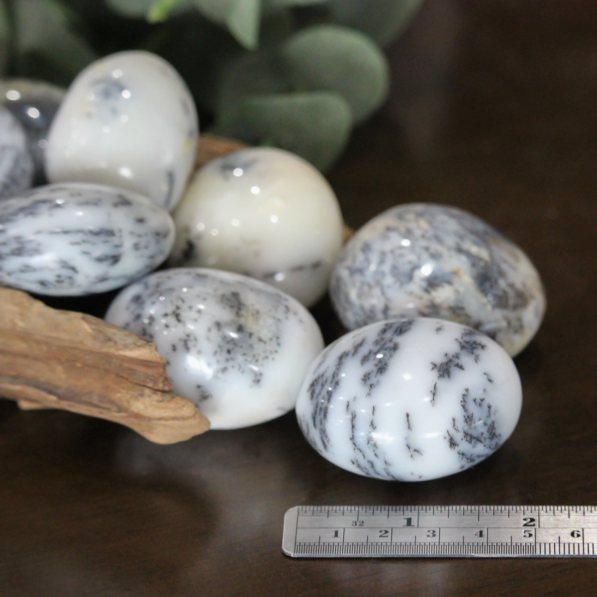 White Dendritic Agate Palm Stone