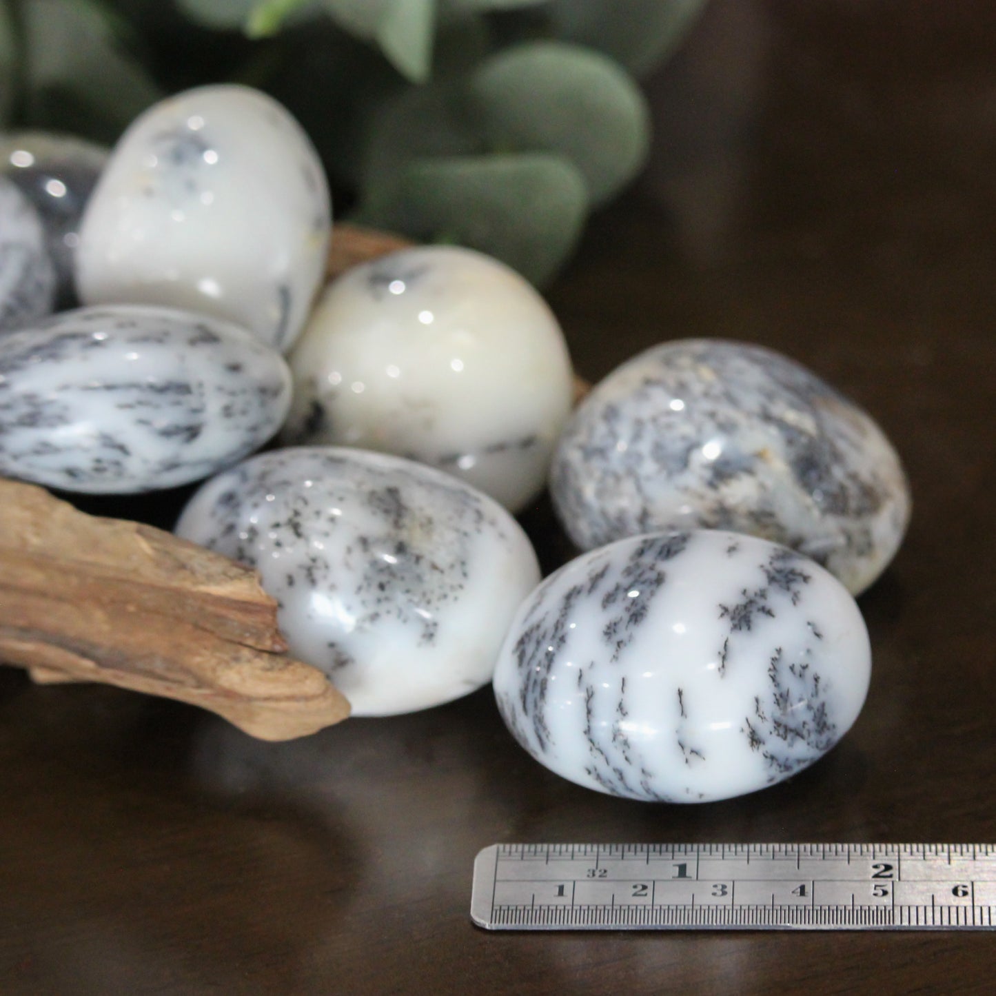 White Dendritic Agate Palm Stone