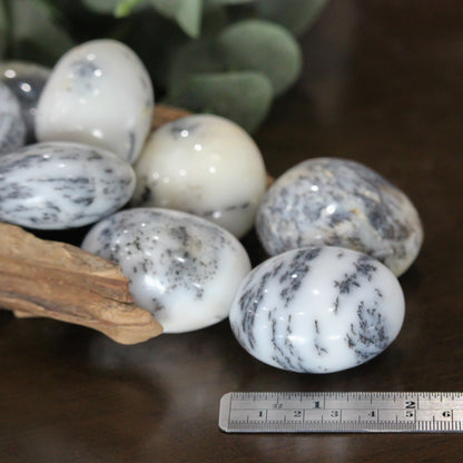 White Dendritic Agate Palm Stone