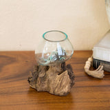 Blown Glass Vase On Chinaberry Wood