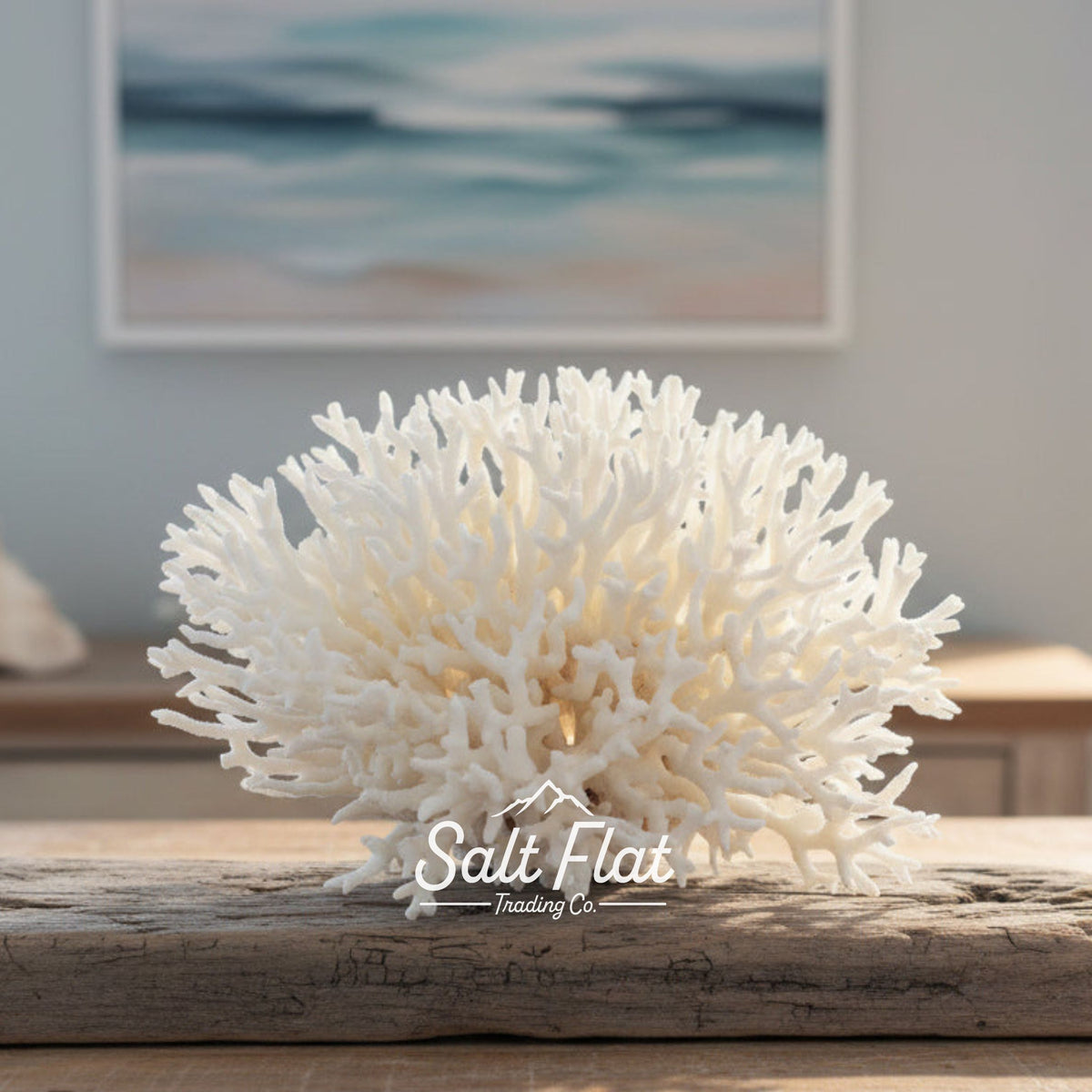 Birdsnest Coral 10-12"