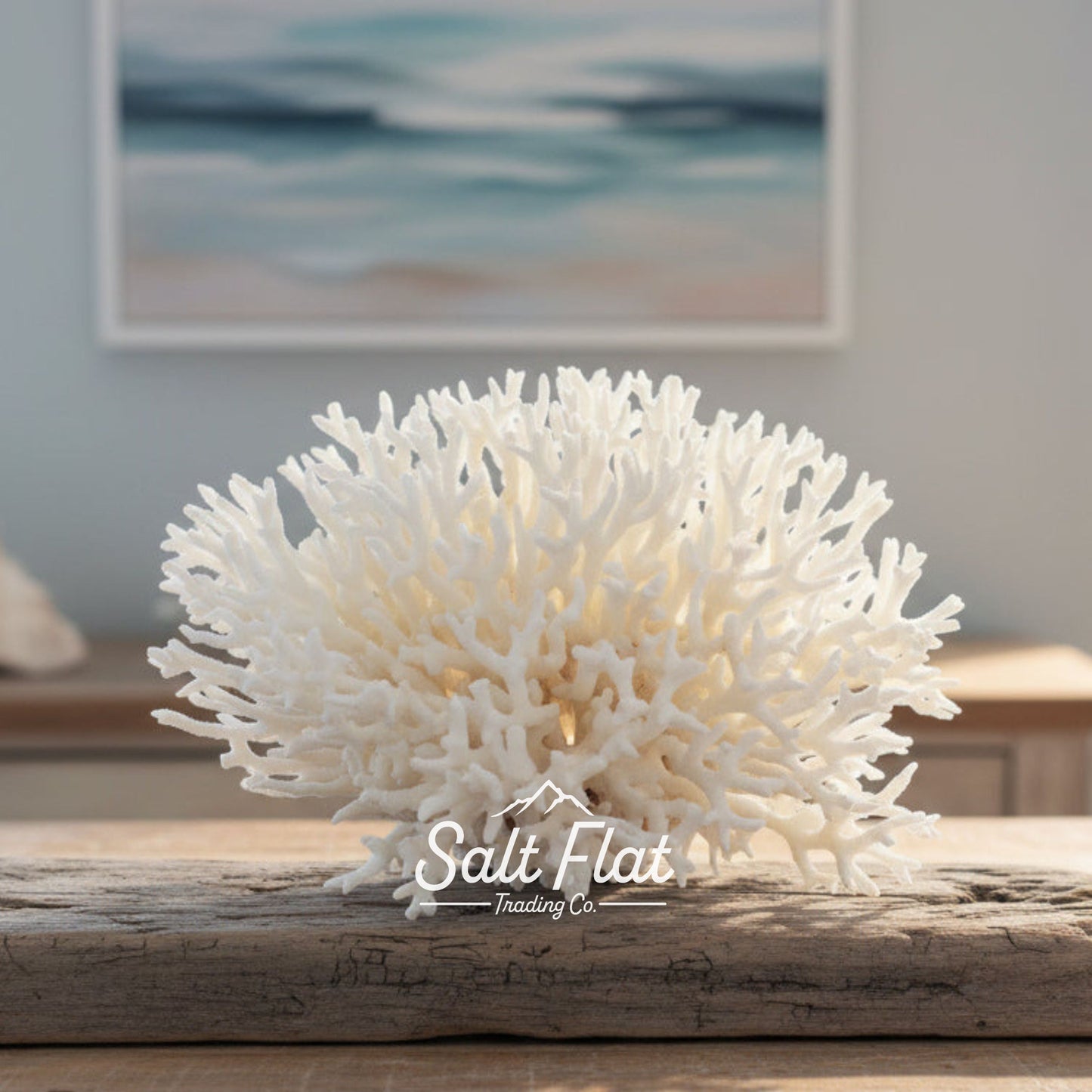 Birdsnest Coral 10-12"
