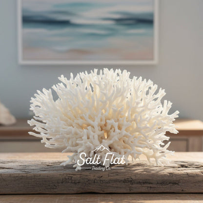 Birdsnest Coral 10-12"
