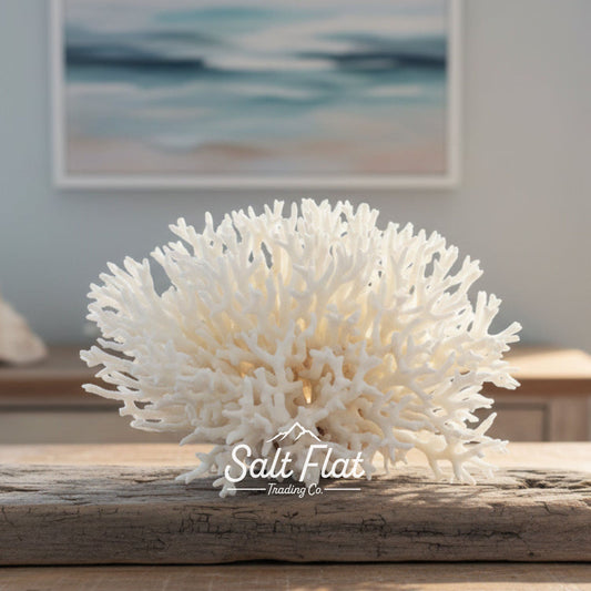 Birdsnest Coral 10-12"