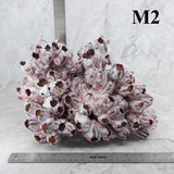 Barnacles 10-12"