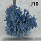 Blue Coral 10-12"