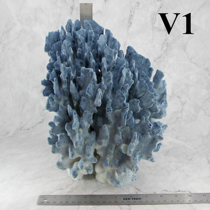 Blue Coral 10-12"